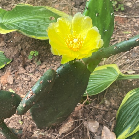 Meet your Posher, JB - Picture 6 of 11